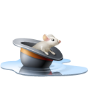 chapeau, poolhat, pool, souris, water, eau, hat, Animal, rat, Mouse Black icon