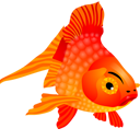 Animal, fish OrangeRed icon