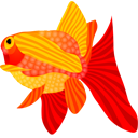fish, Animal Red icon