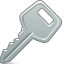password, pass, Key Gray icon