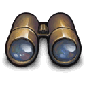 Golden, Binoculars DimGray icon