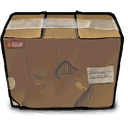 package DimGray icon