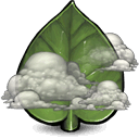 Leaf, giant DarkOliveGreen icon
