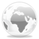 glass, globe, world, planet, earth Silver icon