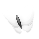 Msn, papillon Black icon