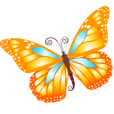 Orange, butterfly Orange icon