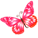 butterfly, pink DeepPink icon
