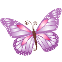 purple, butterfly MediumOrchid icon