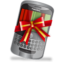 Blackberry, christmas, xmas Black icon
