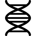 Genetic, dna, Deoxyribonucleic, people, gene, Deoxyribonucleic Acid, Acid, genetics, science, Genes Black icon