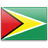 Country, Guyana, flag Icon