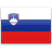 Country, slovenia, flag Icon