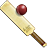 Cricket RosyBrown icon