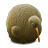kiwibird DarkOliveGreen icon