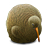 kiwibird Icon