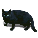 Cat, Animal Black icon