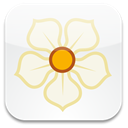 Sn, Social, social network, magnolia WhiteSmoke icon