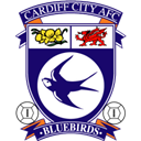 city, cardiff MidnightBlue icon