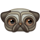 Animal, pug Black icon