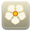 magnolia LightGray icon