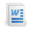 word Icon