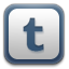 Tumblr Silver icon