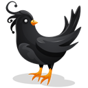 bird, Animal Black icon