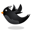 Animal, bird Black icon