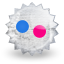 flickr Icon