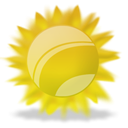 sun Goldenrod icon