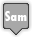 sam, days DarkSlateGray icon