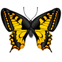 butterfly Black icon