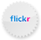 flickr Icon