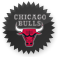 Chicagobulls DarkSlateGray icon