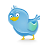 Social, twitter, bird, Animal, Blue, social network, Sn Icon