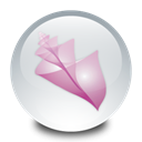 adobe, bridge Gainsboro icon