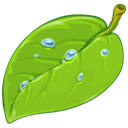 Coda YellowGreen icon