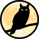 owl Black icon