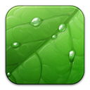 Coda ForestGreen icon