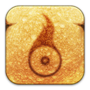 food, toast SandyBrown icon