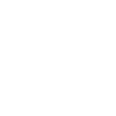 speed, Skating Black icon