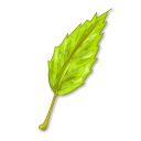 Leaf Black icon