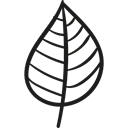 Plant Leaf, gardening, Tree Leaf, nature, Leaf Black icon