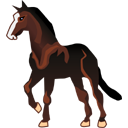 mustang, horse Black icon