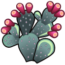 Cactus, pear, prickly Black icon