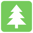 Pine YellowGreen icon