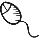nature, Sperm, sex, Fertility, Biology, Reproduction, Sexuality Black icon