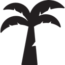 Island, tropical, Coconuts, Beach, Palm Tree, Summertime, nature Black icon