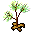 Tree, plant Icon