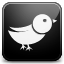 Sn, social network, twitter, Social Icon